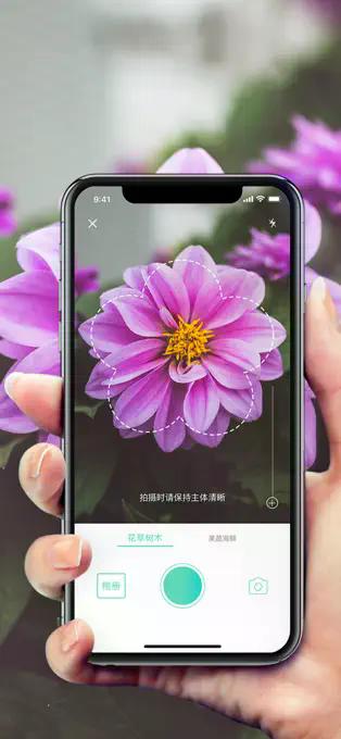 形色 界面截图