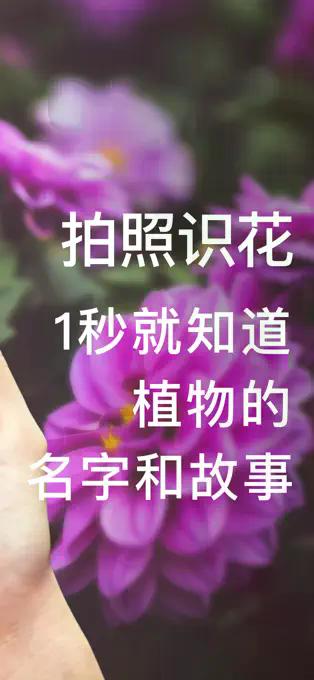 形色 界面截图